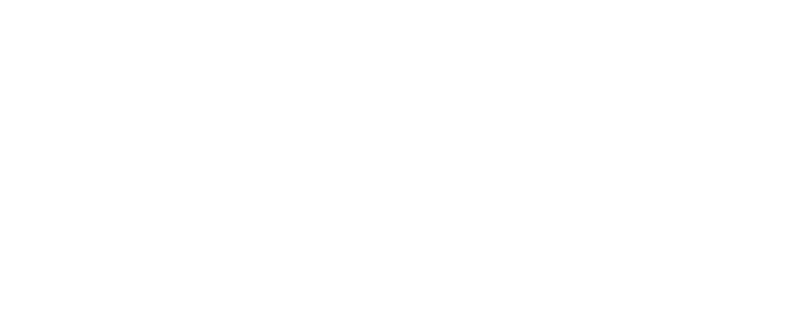 Toy Order